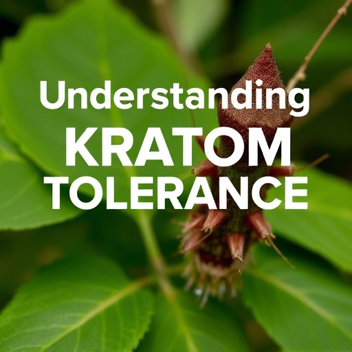 kratom powder