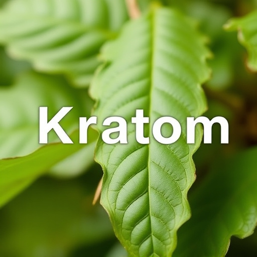 kratom powder