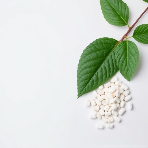 Kratom vs Phenibut: Comprehensive Comparison Guide for Informed Choices