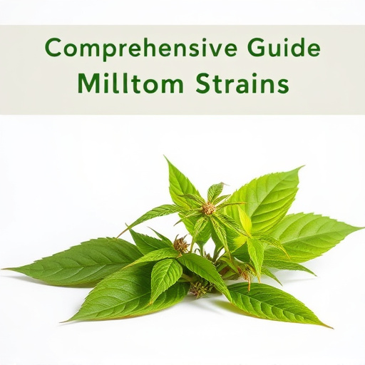 Comprehensive Guide: Mildest Kratom Strains Benefits & Usage