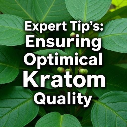kratom powder