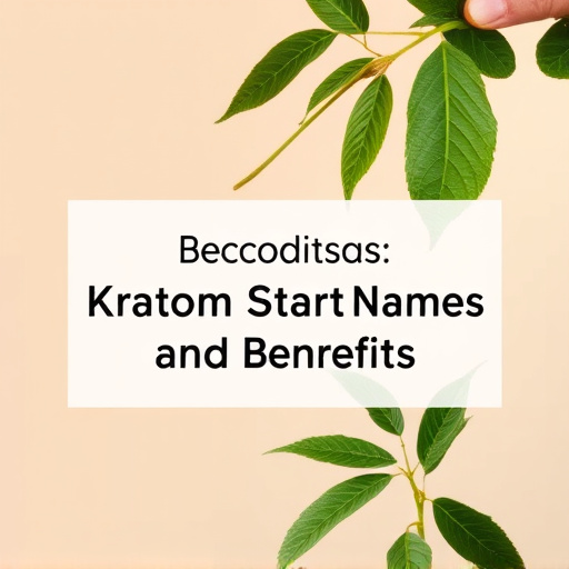 Comprehensive Guide: Decoding Kratom Strain Names and Benefits