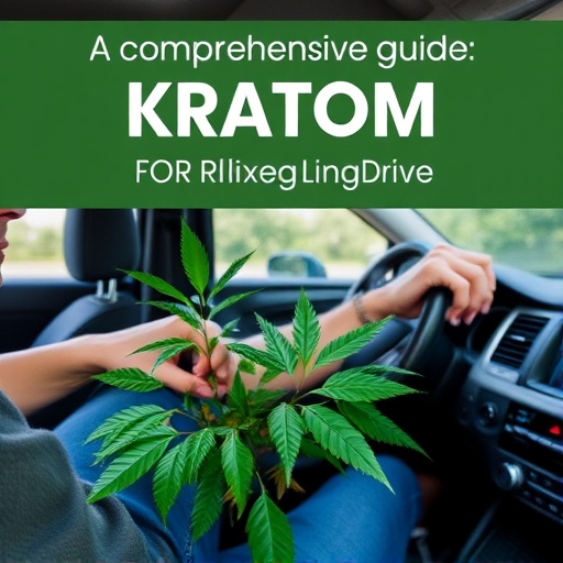 Comprehensive Guide: Kratom for Relaxed Long Drives