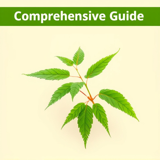 Comprehensive Guide: Kratom Effects Timeline & Expert Insights