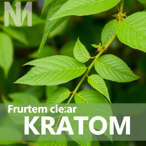 kratom powder