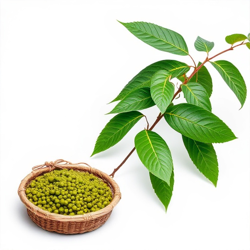 Comprehensive Guide: Importing Kratom Regulations and Insights