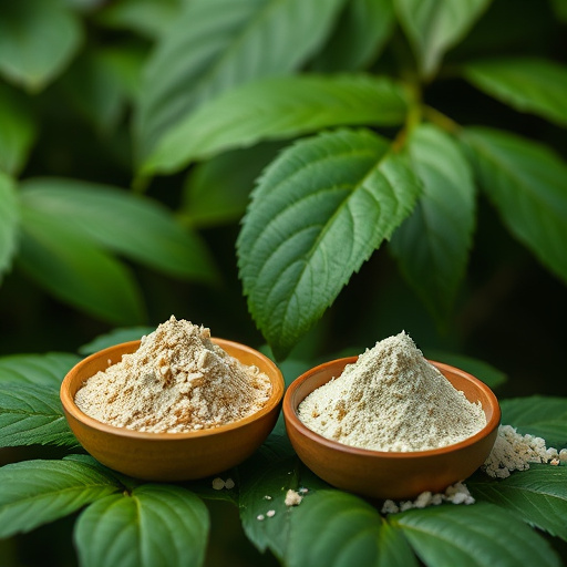kratom powder