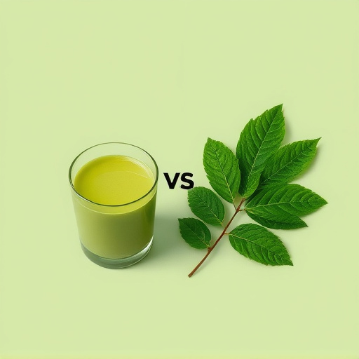 Matcha vs Kratom: Unlocking Natural Energy Secrets