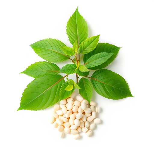 Kratom vs Phenibut: Comprehensive Comparison Guide