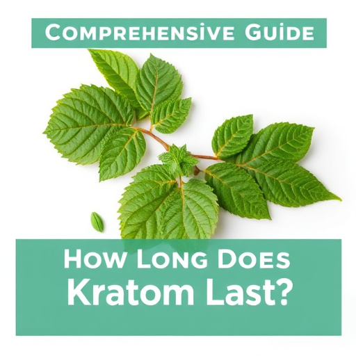 Comprehensive Guide: How Long Does Kratom Last?