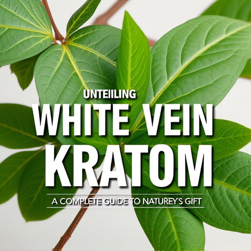 Unveiling White Vein Kratom: Complete Guide to Nature’s Gift