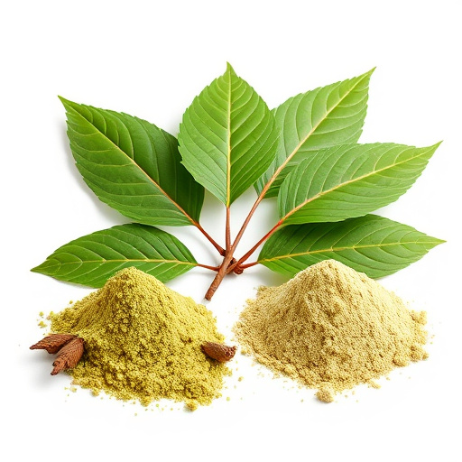 Kratom Extract vs Powder: Unveiling Key Differences for Safe Usage