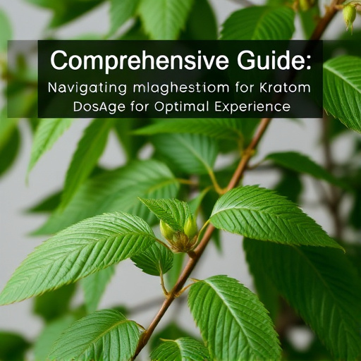 Comprehensive Guide: Navigating Kratom Dosage for Optimal Experience