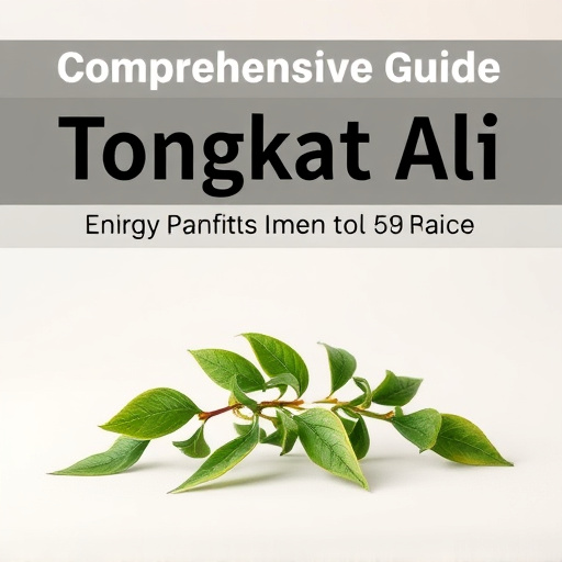 Comprehensive Guide to Tongkat Ali Energy Herb Benefits and Usage
