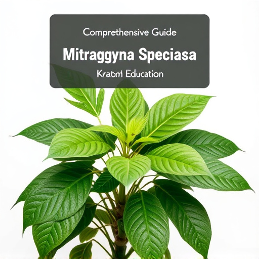 Comprehensive Guide: Mitragyna Speciosa Plant Biology & Kratom Education