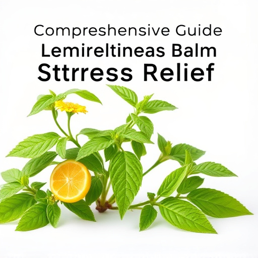 Comprehensive Guide to Lemon Balm Stress Relief