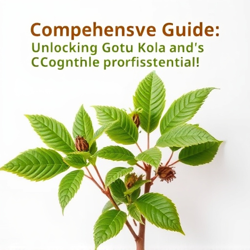 Comprehensive Guide: Unlocking Gotu Kola’s Cognitive Potential