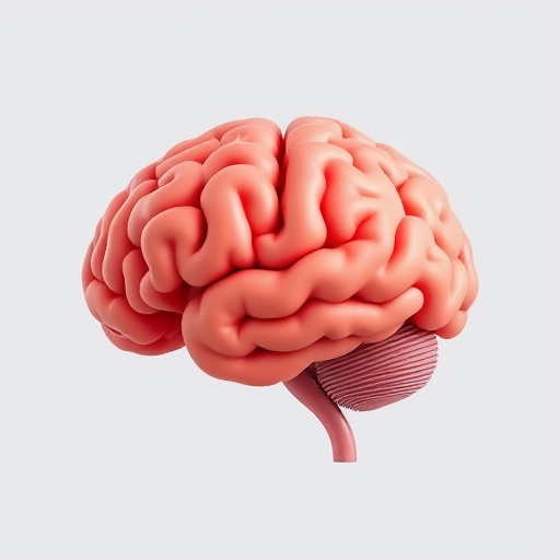 nootropic supplement