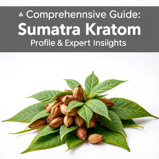 Comprehensive Guide: Sumatra Kratom Profile & Expert Insights