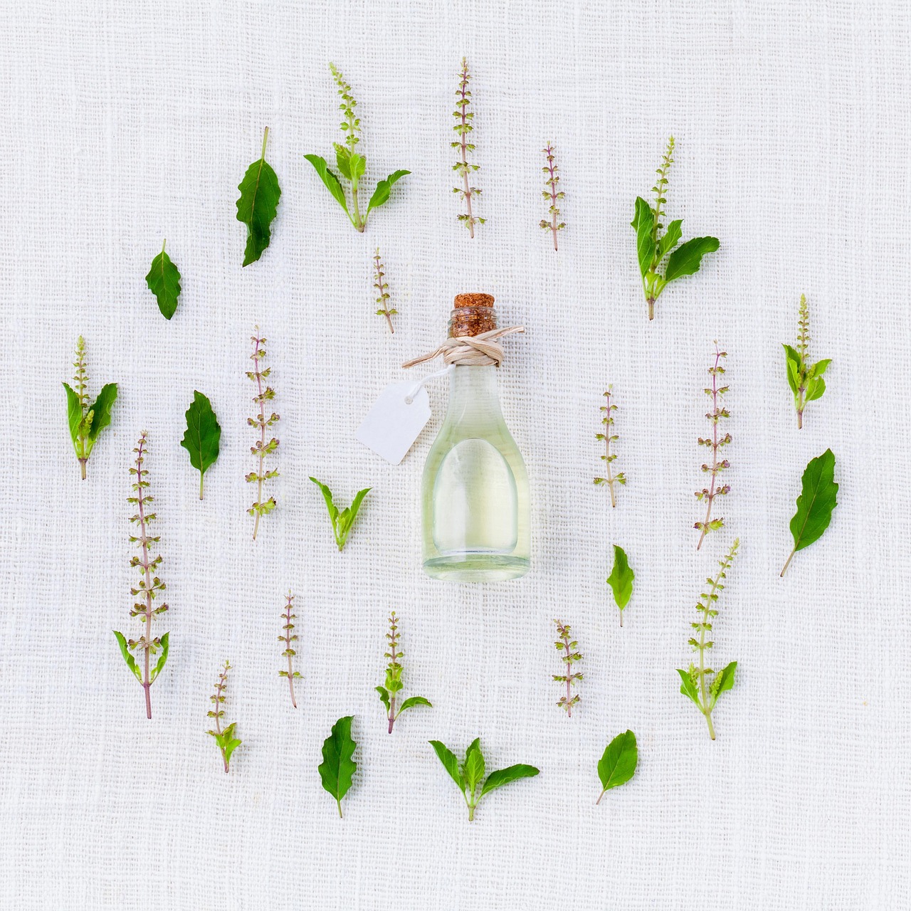 Unveiling Ethical Practices: Comprehensive Fair Trade Botanical Guide