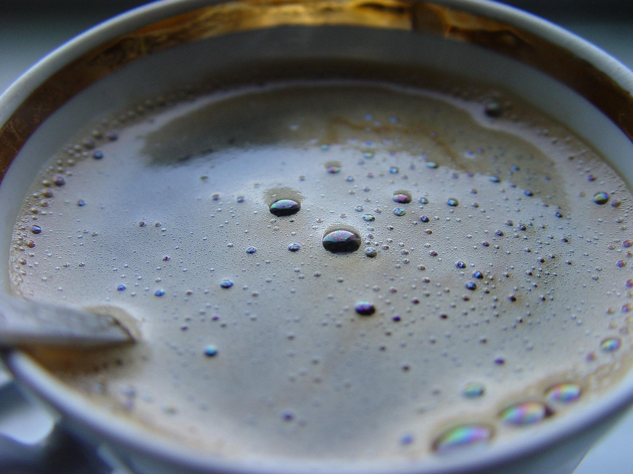 Comprehensive Guide to Kava Chemotypes Explained: Benefits and Usage