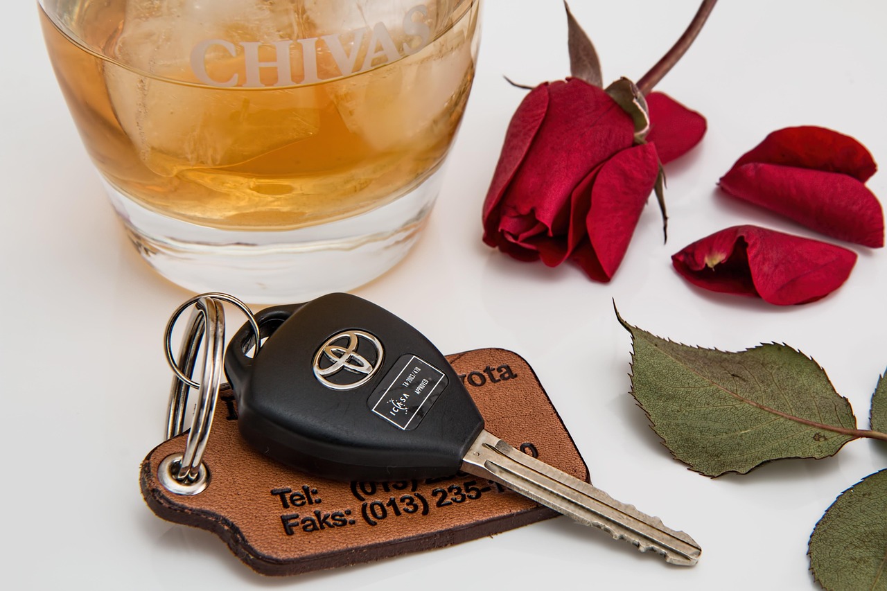 Unleash Social Fun: Comprehensive Alcohol-Free Living Guide